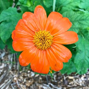 9B2F09D8-D9ED-4F79-8BCF-6EBC533744AB